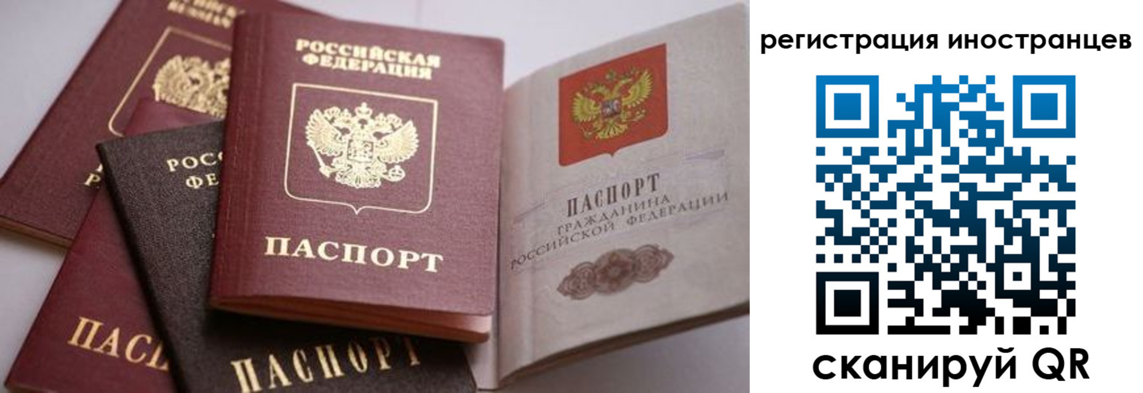 прописка штамп в Нововоронеже