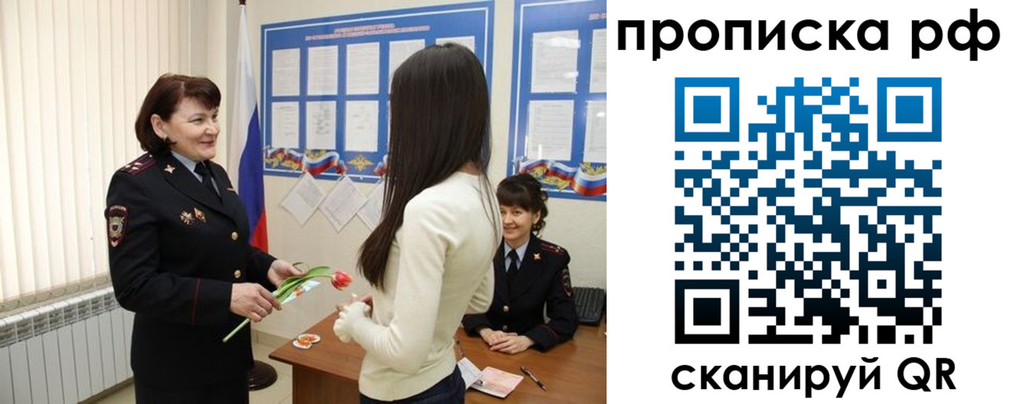 прописка в квартире в Нововоронеже